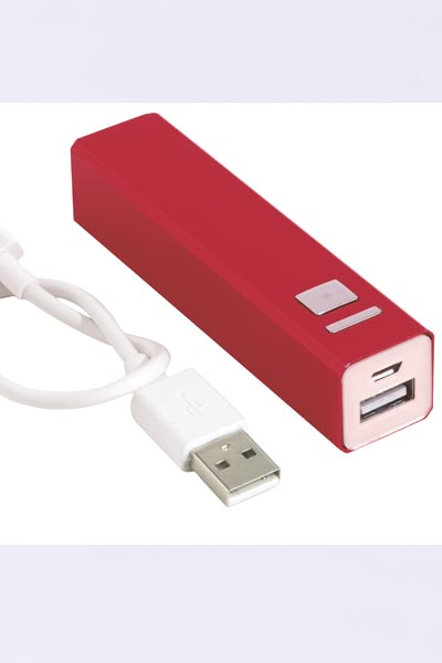 Power Bank 2 ingressi USB